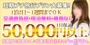 出稼ぎパックプラン